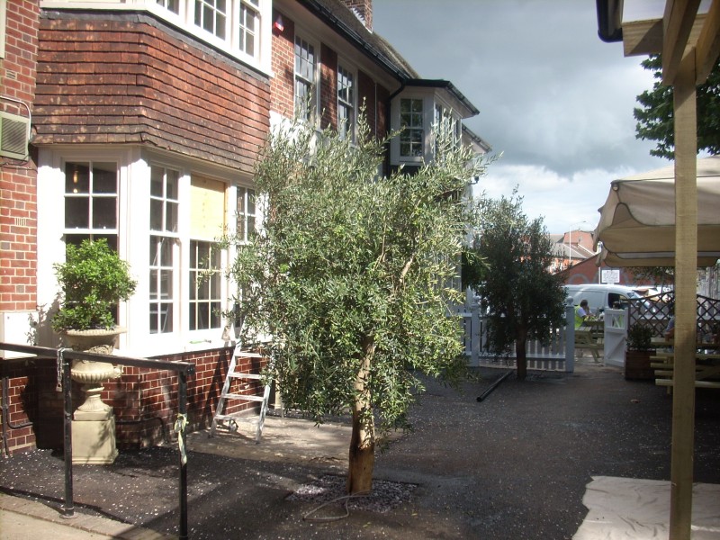 SOS Gardens Landscaping & Maintenance